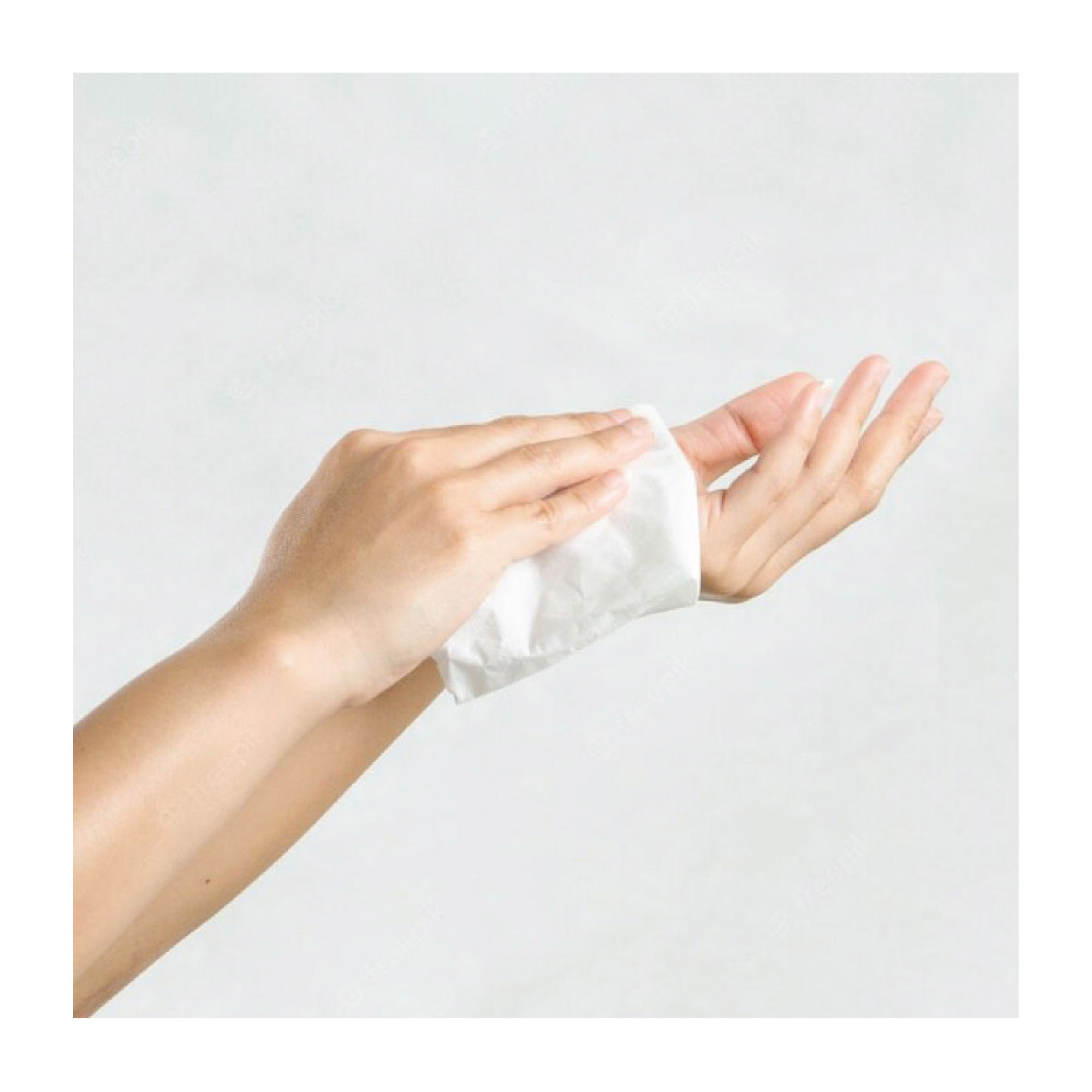 ABSORBA Nateen Adult Wet Wipes With Chamomile & Aloe Vera 40's for Sensitive Skin, 敏感肌肤, 成人湿巾