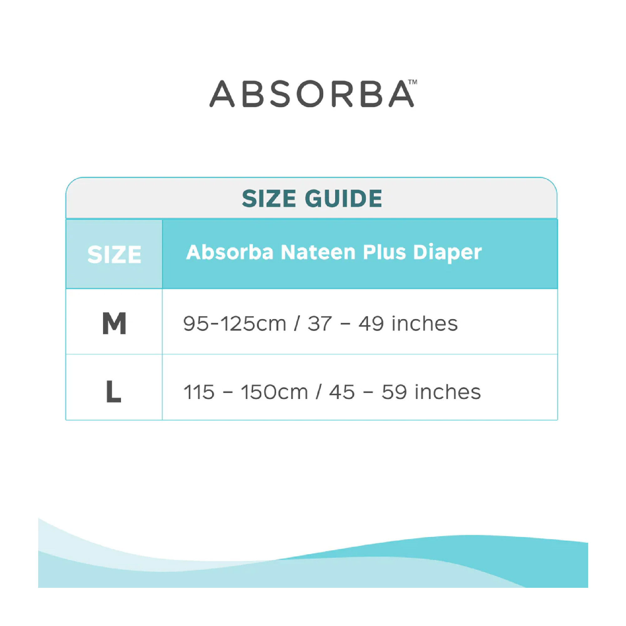 ABSORBA Nateen Plus Adult Diaper 10's - L Size, Lampin Dewasa, 防漏成人纸尿裤