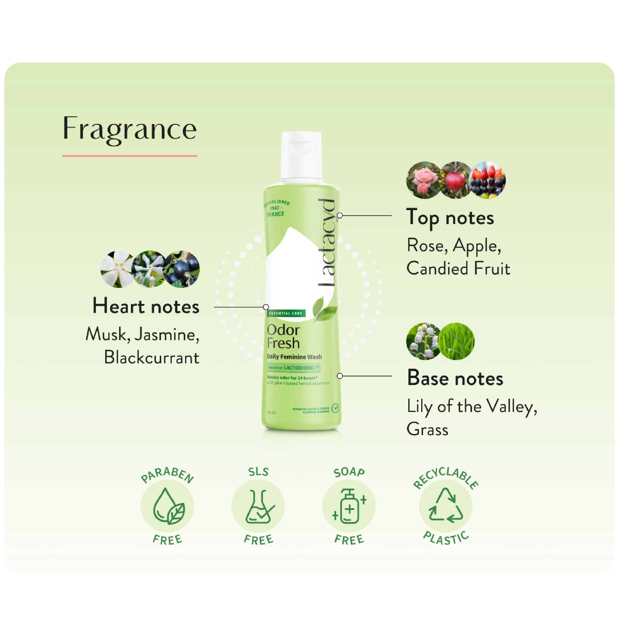 LACTACYD Feminine Hygine 250ml x 2 - Odor Fresh (New)