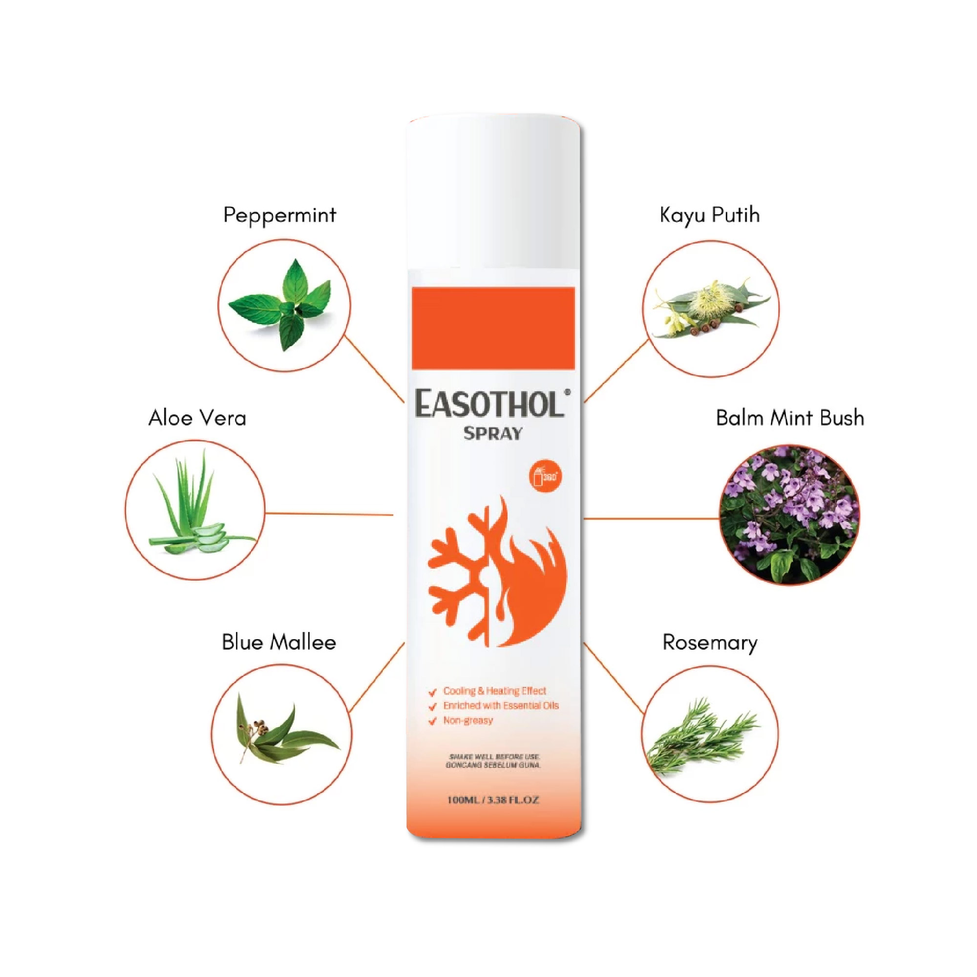 EASOTHOL Soothing Spray 100ml