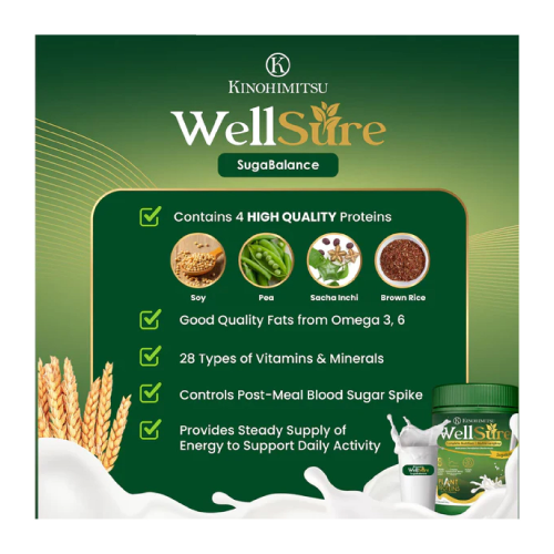 KINOHIMITSU Wellsure Sugabalance (850g) Diabetes Supplement, Blood Sugar Control, Kencing Manis Supplement 糖尿病