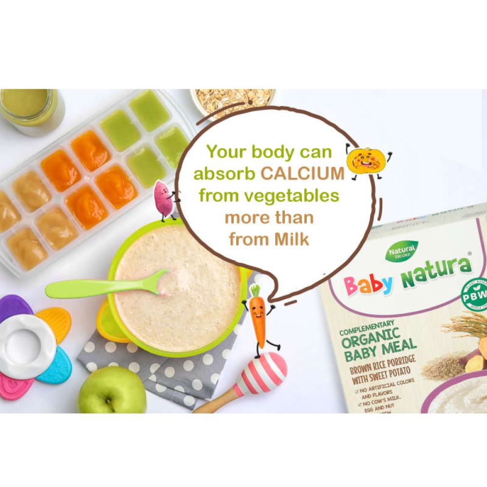 BABY NATURA Organic Brown Rice Porridge 80g