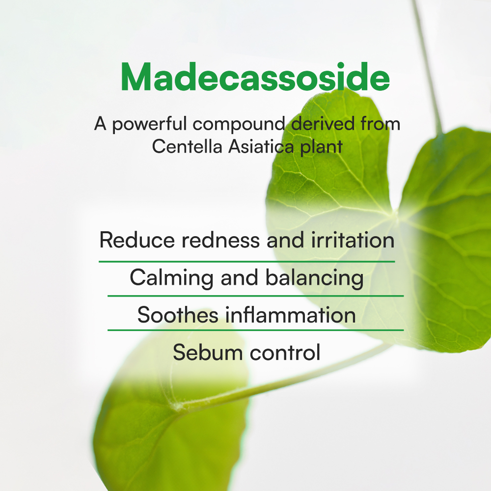 FACE REPUBLIC Calming Tea Tree Madecassoside Serum 45ml for Blackheads and Whiteheads Remover