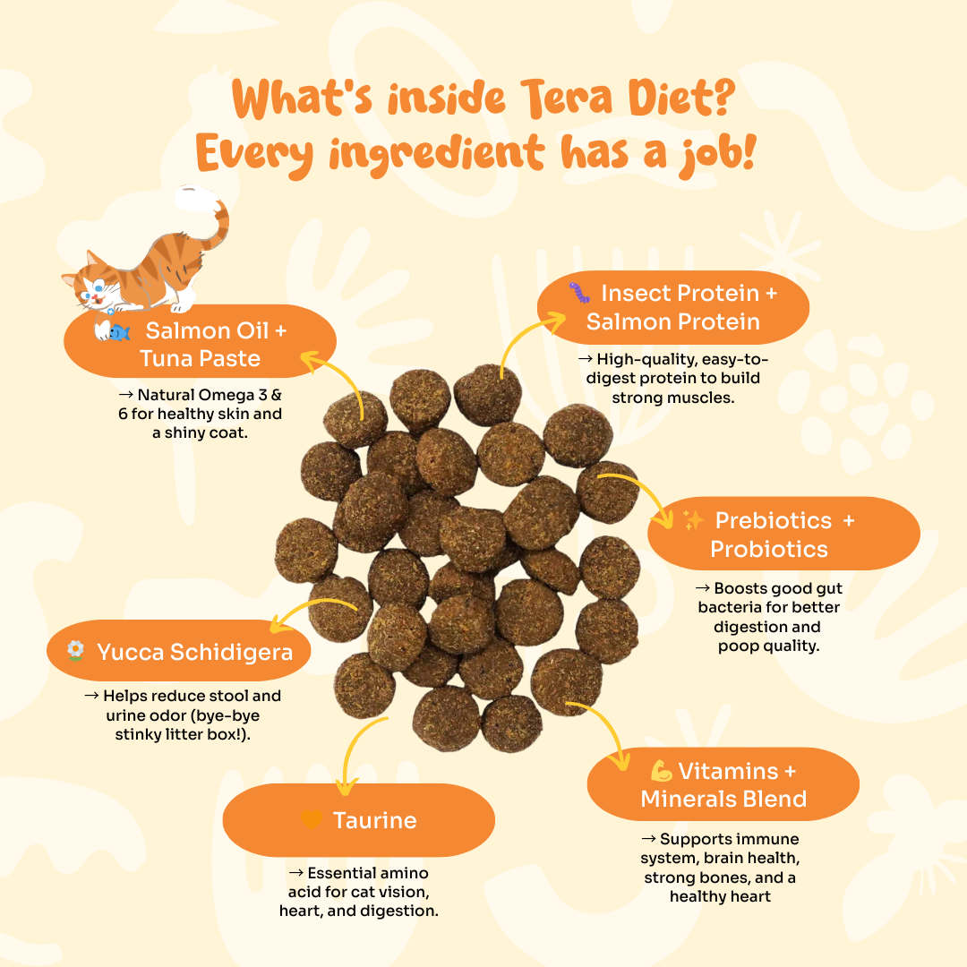 TERA DIET Super Premium Cat Food 300g - Salmon & Insect Protein, Makanan Kucing