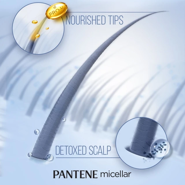 PANTENE MICELLAR SHAMPOO 530ML - DETOX & MOISTURIZE