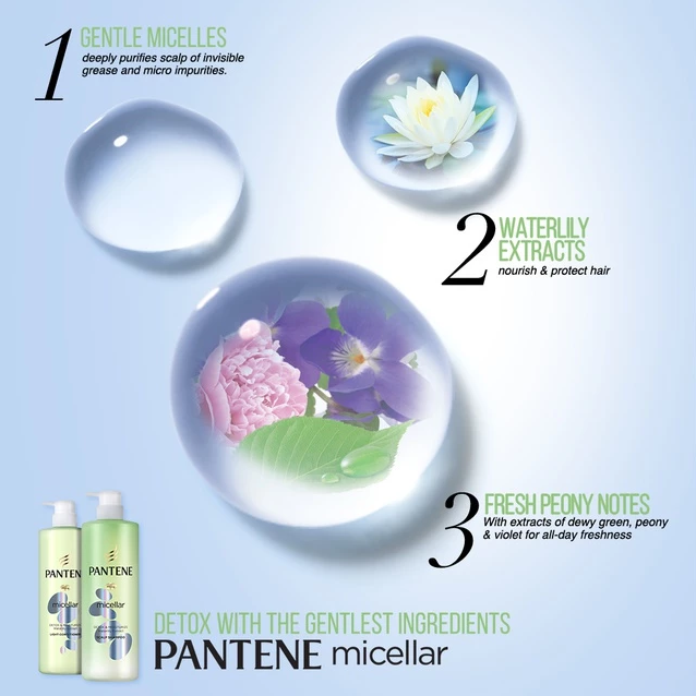 PANTENE MICELLAR SHAMPOO 530ML - DETOX & MOISTURIZE