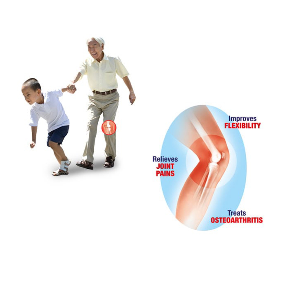 LIVE-WELL Ostesamin Plus Chondroitin 30's X 3 + Ostemsm 45's for Knee Supplement, Joint Supplement