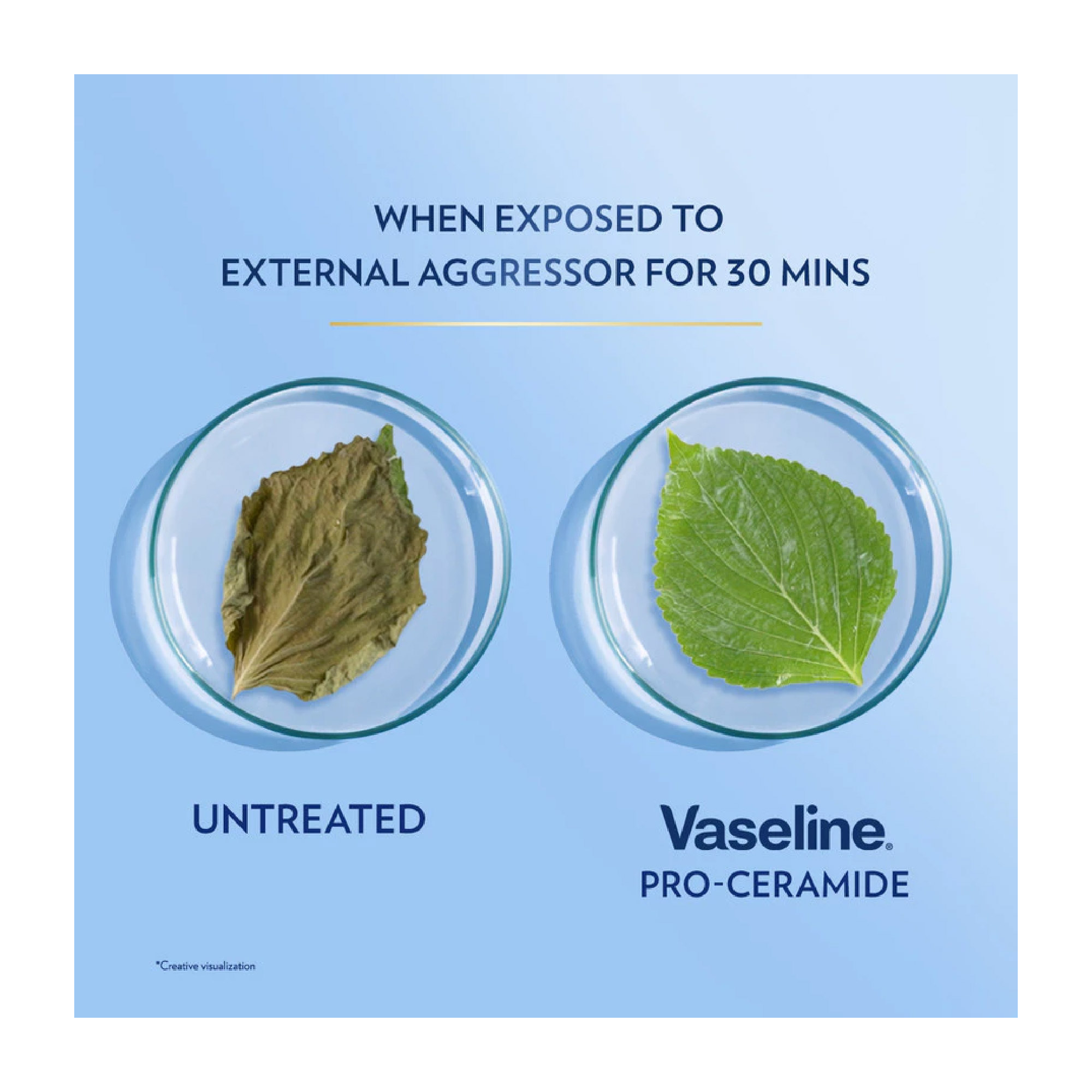 VASELINE Total Moisture 320ml - Aloe Soothe