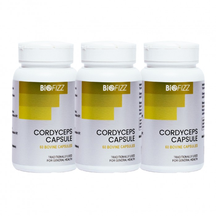 BioFizz Cordyceps Extract, Cordyceps Supplement, Anti-Inflammatory, Anti-Aging 冬虫夏草 - 60's x 3