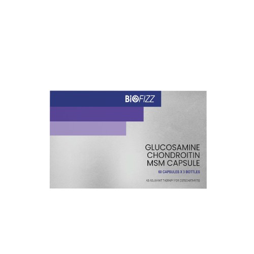 BIOFIZZ Glucosamine Chondroitin MSM (60's X 3) Knee Support Supplement/Joint Pain Supplements/Osteoarthritis Supplements