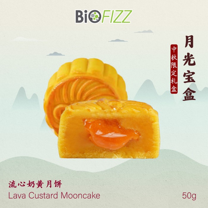 BIOFIZZ 月饼 月光宝盒 Moonlight Treasure Box Mooncake 3 Rasa + Individual Gift Bag Hadiah Kuih Bulan