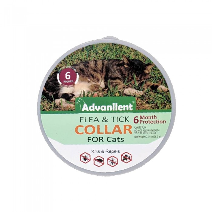 LILIEN Advanllent Natural Cat Fleas Ticks Collar 1's for Cat Collar, Ubat Kutu Kucing