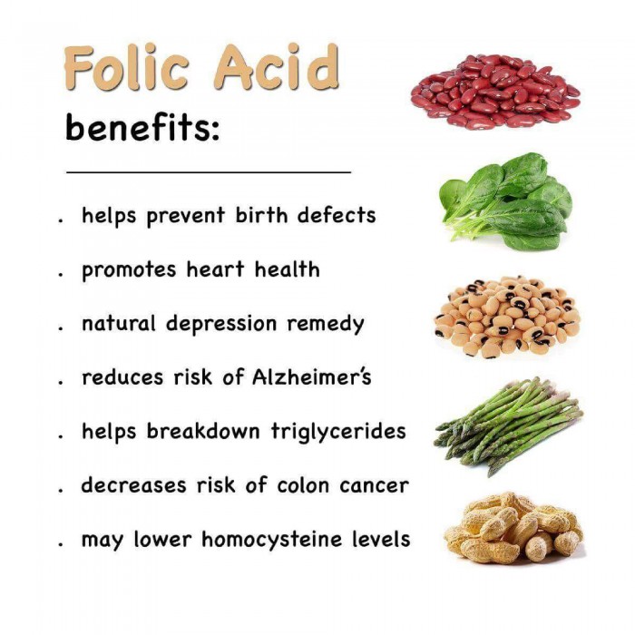 HOVID Folic Acid 100's Acid Folic For Pregnant, Folic Acid, Folic Acid Pregnant, Asid Folic, 叶酸