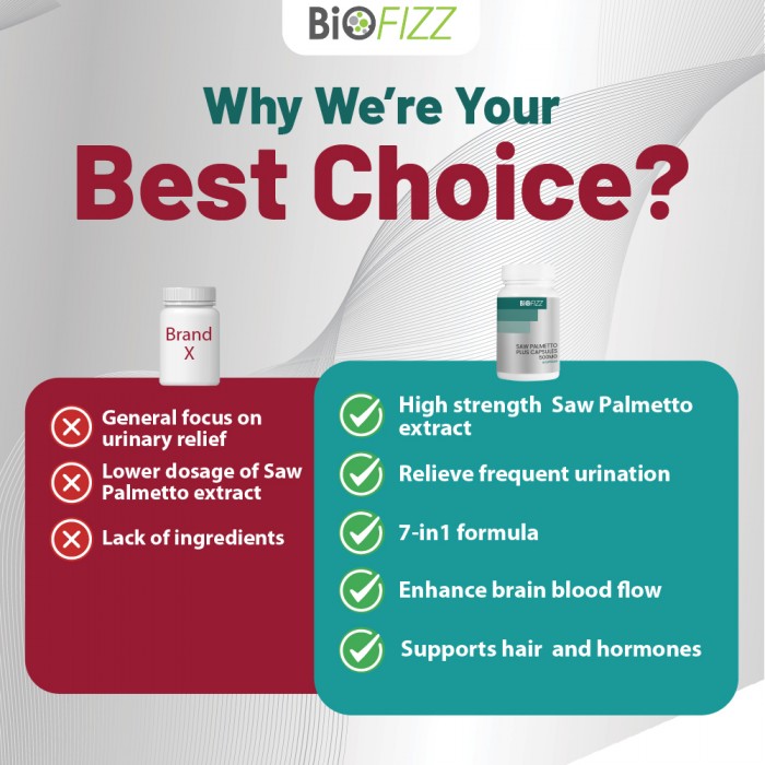 BIOFIZZ Saw Palmetto Plus Capsule 500mg 60'S X 3