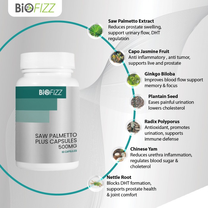 BIOFIZZ Saw Palmetto Plus Capsule 500mg 60'S X 3