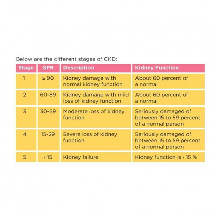 True Functional Foods Nutritional Non-Soya Whey Protein U-99 12's for dialysis patient