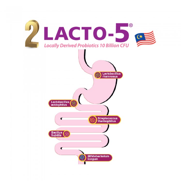 THC Lacto-5 Gold 30's for Detox, Digestion & Gut Health with Probiotic, Prebiotic, Probiotic Supplement, 益生菌