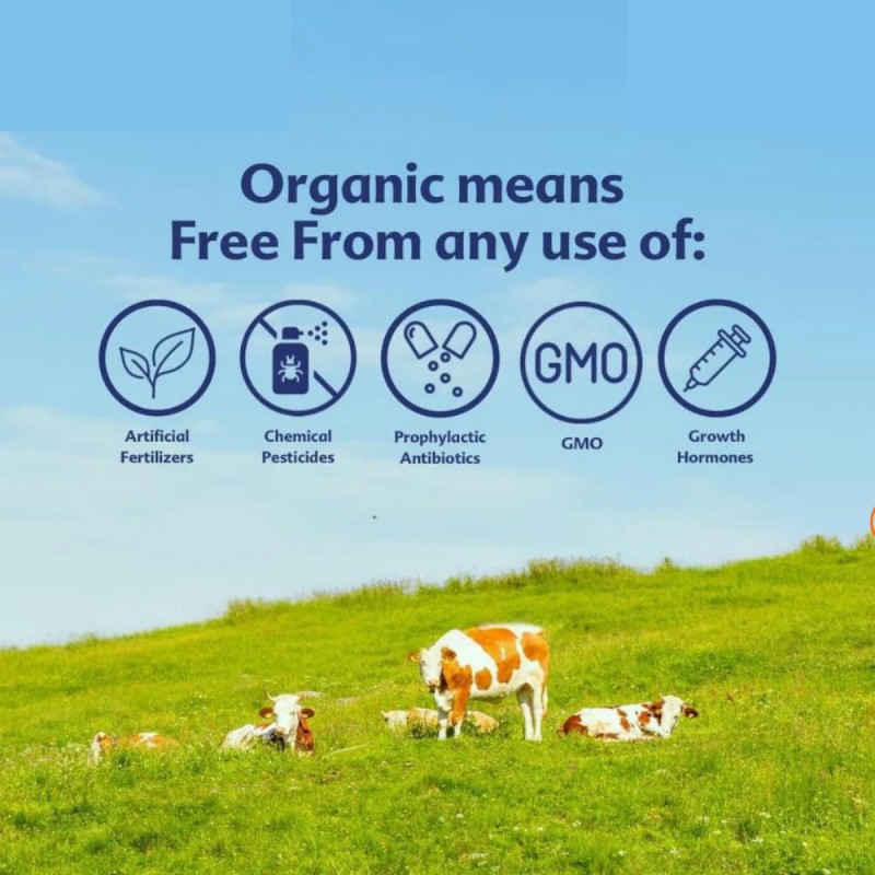 Hipp Junior (1-3 Years) 800g X 6 - Step 3 for Infant Milk Formula, Milk Powder