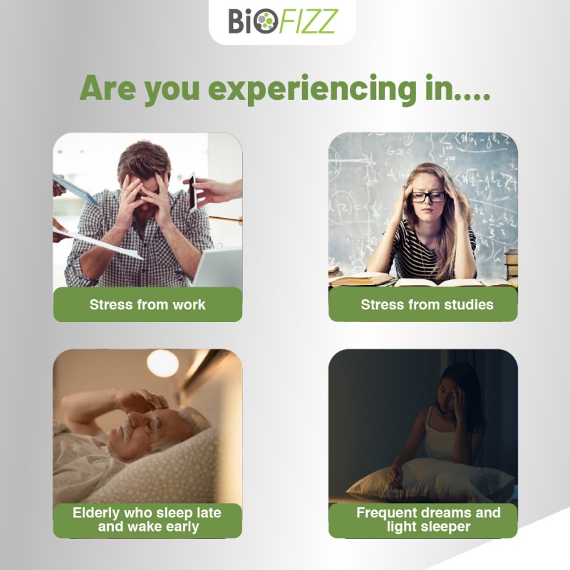 BIOFIZZ Irish Sea Moss Gummies 2.5g X 60's for Detox, Energy Booster with Mineral, Gummy, Gummy Halal, 软糖