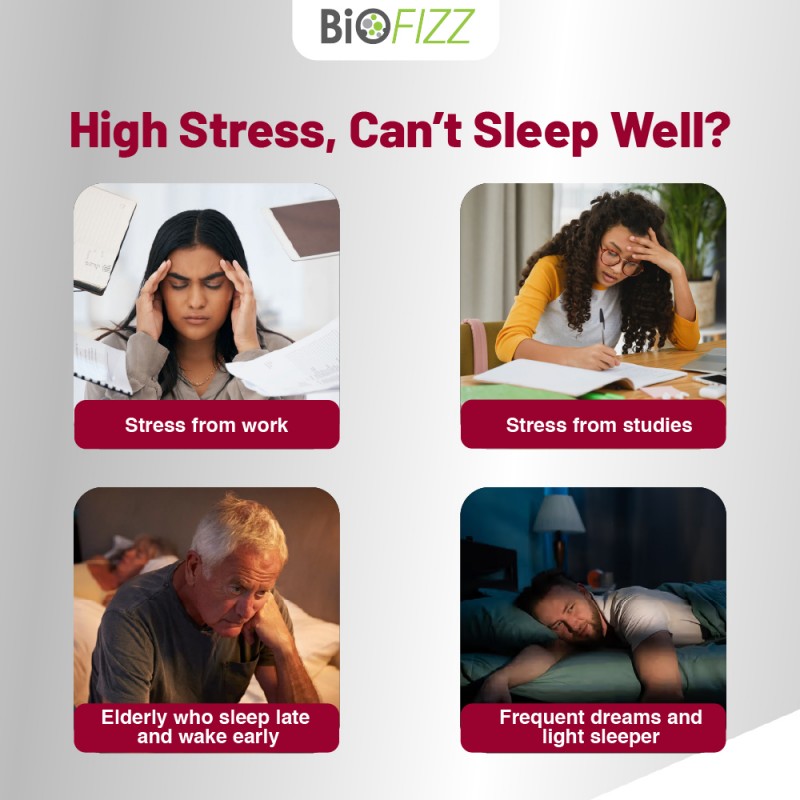 BIOFIZZ Chill Chew Ashwagandha Gummies 2.5g X 60's for Relax, Sleep, Stress, Gummy, Gummy Halal, 软糖