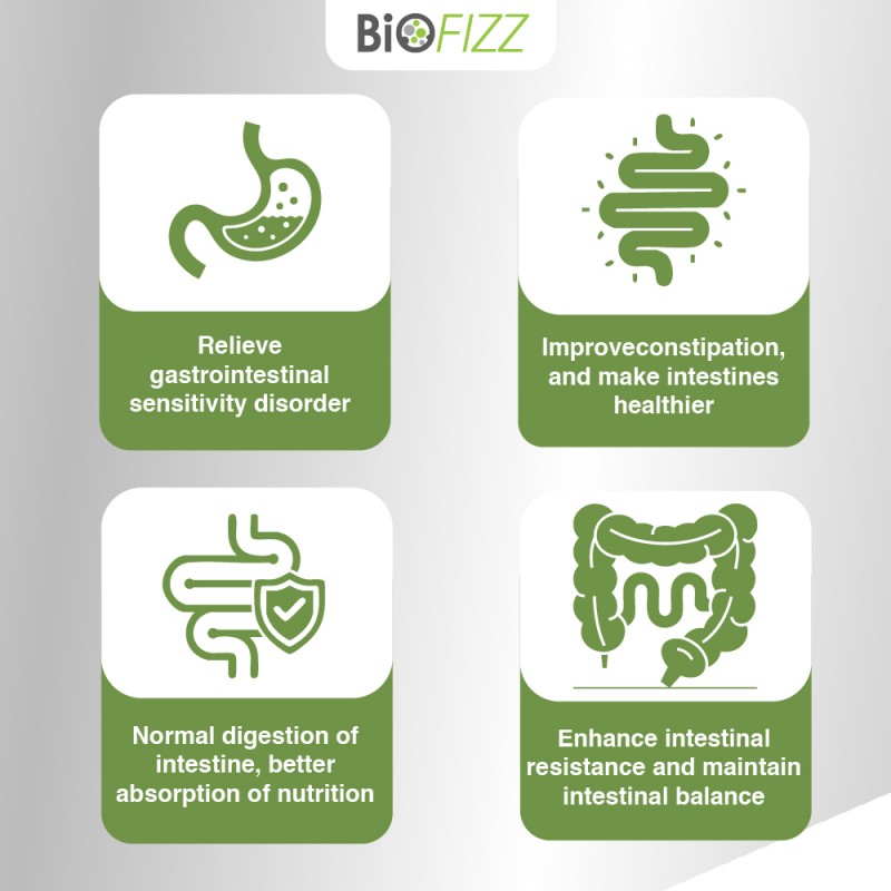 BIOFIZZ Irish Sea Moss Gummies 2.5g X 8's for Detox, Energy Booster with Mineral, Gummy, Gummy Halal, 软糖