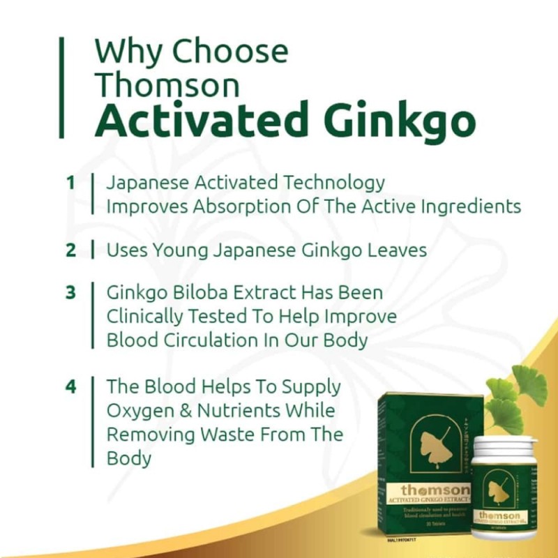 THOMSON Ginkgo 40mg 2 X 120's for Blood Circulation Supplement, Nerve Supplement, Ubat Saraf