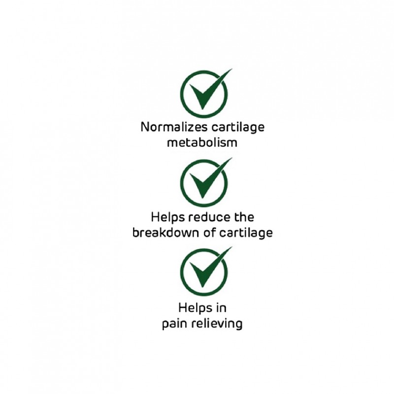 Bio-Life Glucosamine With Chondroitin 90'S X 2