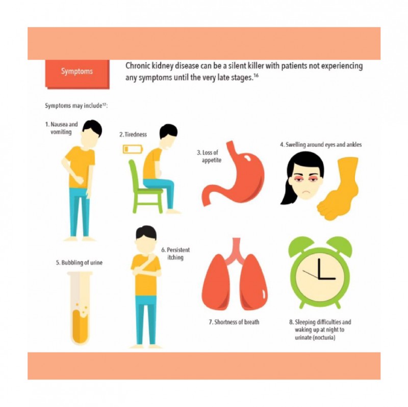 True Functional Foods Nutritional Whey Protein LP200-A 15's for Stage 1 to Stage 4 pre-dialysis patient