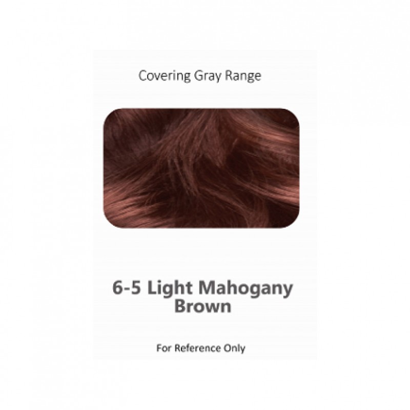 BIGEN Cream Color 6-5 Mahogany Brown - Bigen One Push Hair Color Mahogany Brown 美源 染发剂 染发膏
