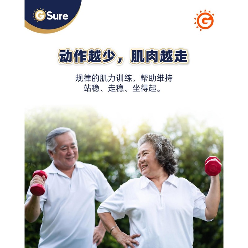 Good Morning GSure Immune Booster Protein Powder Serbuk Protein Shake, Prebiotic and Probiotic supplement (蛋白粉) - 850g