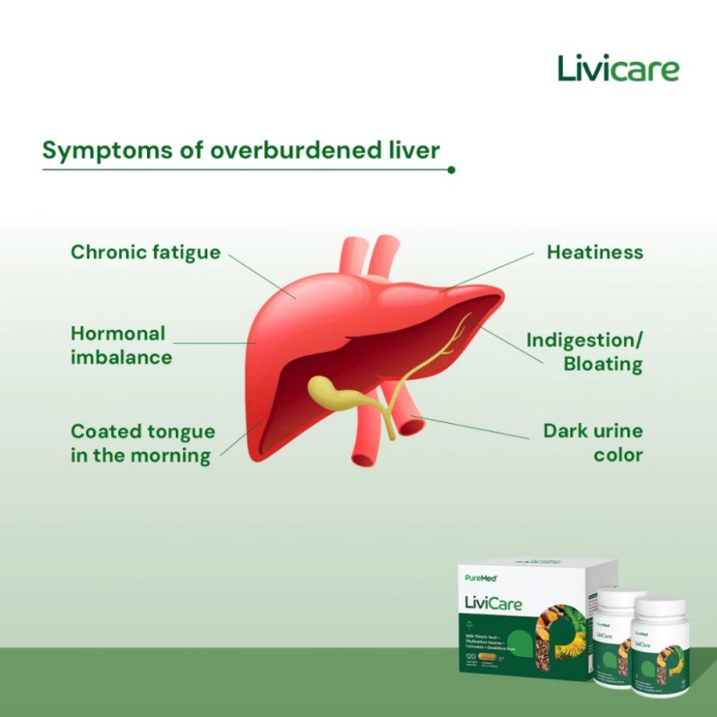 PUREMED Livicare 60's x 2 for Liver Supplement, Fatty Liver, Detox Supplement