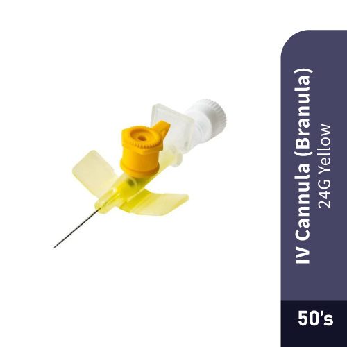 IV Cannula 24G Yellow (50s) [IV Drip Needle/Jarum Drip/Anaesthetic Needle/针]