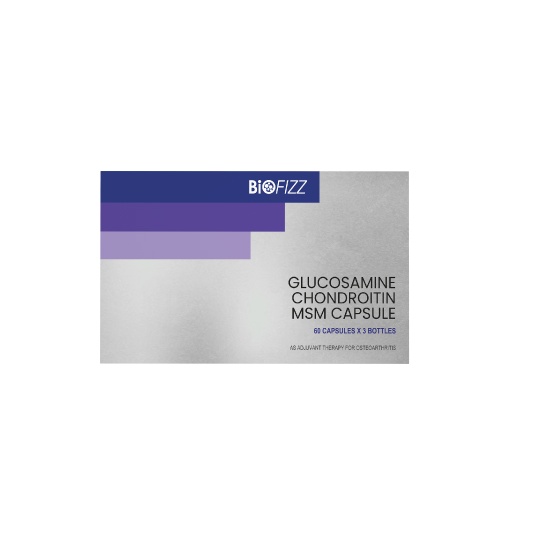 BIOFIZZ Glucosamine Chondroitin MSM (60's X 3) Knee Support Supplement/Joint Pain Supplements/Osteoarthritis Supplements