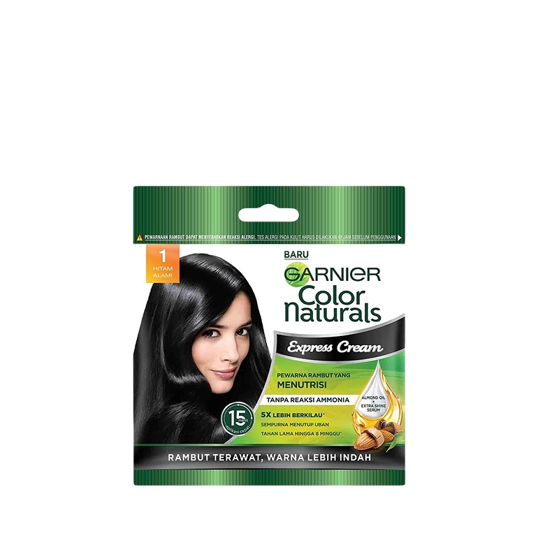 Garnier Express Cream - 1 Black