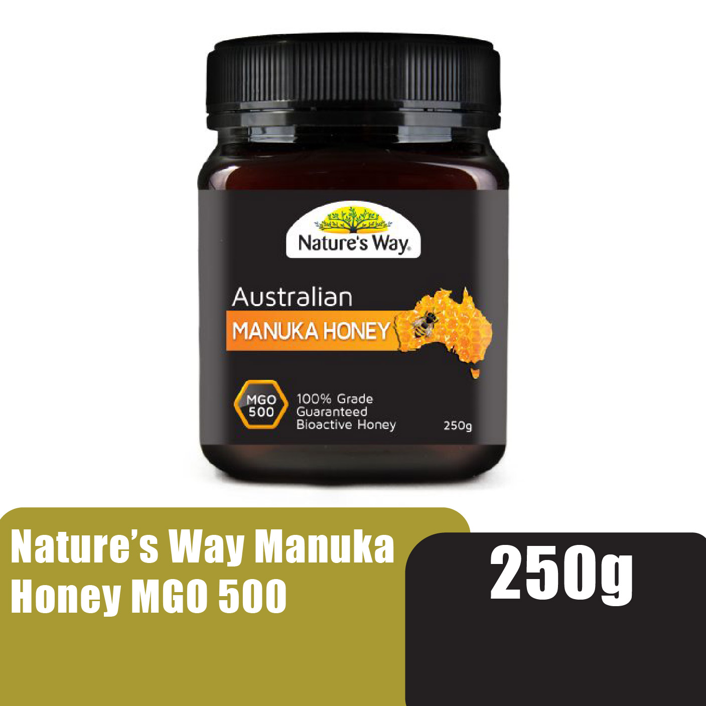 Nature's Way Australian Manuka Honey MGO500 250g (Madu support for immunity & digestive balance)/活性蜂蜜