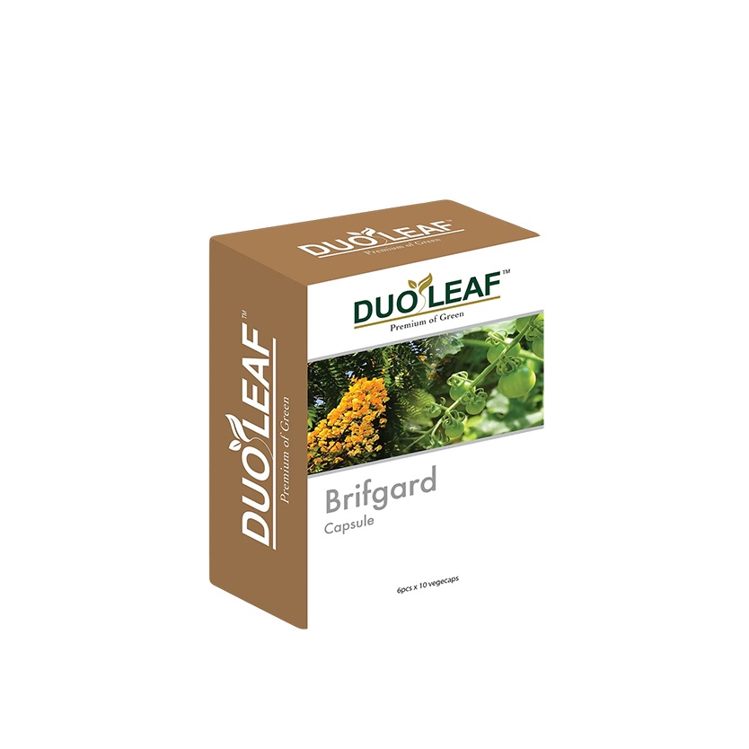 Duoleaf Brifgard 6 x 10's